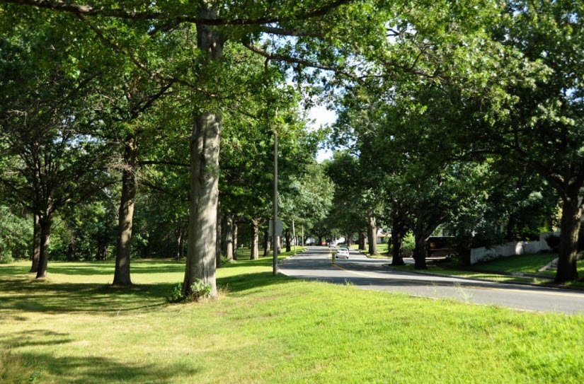 Mystic River State Reservation, Massachusetts, USA